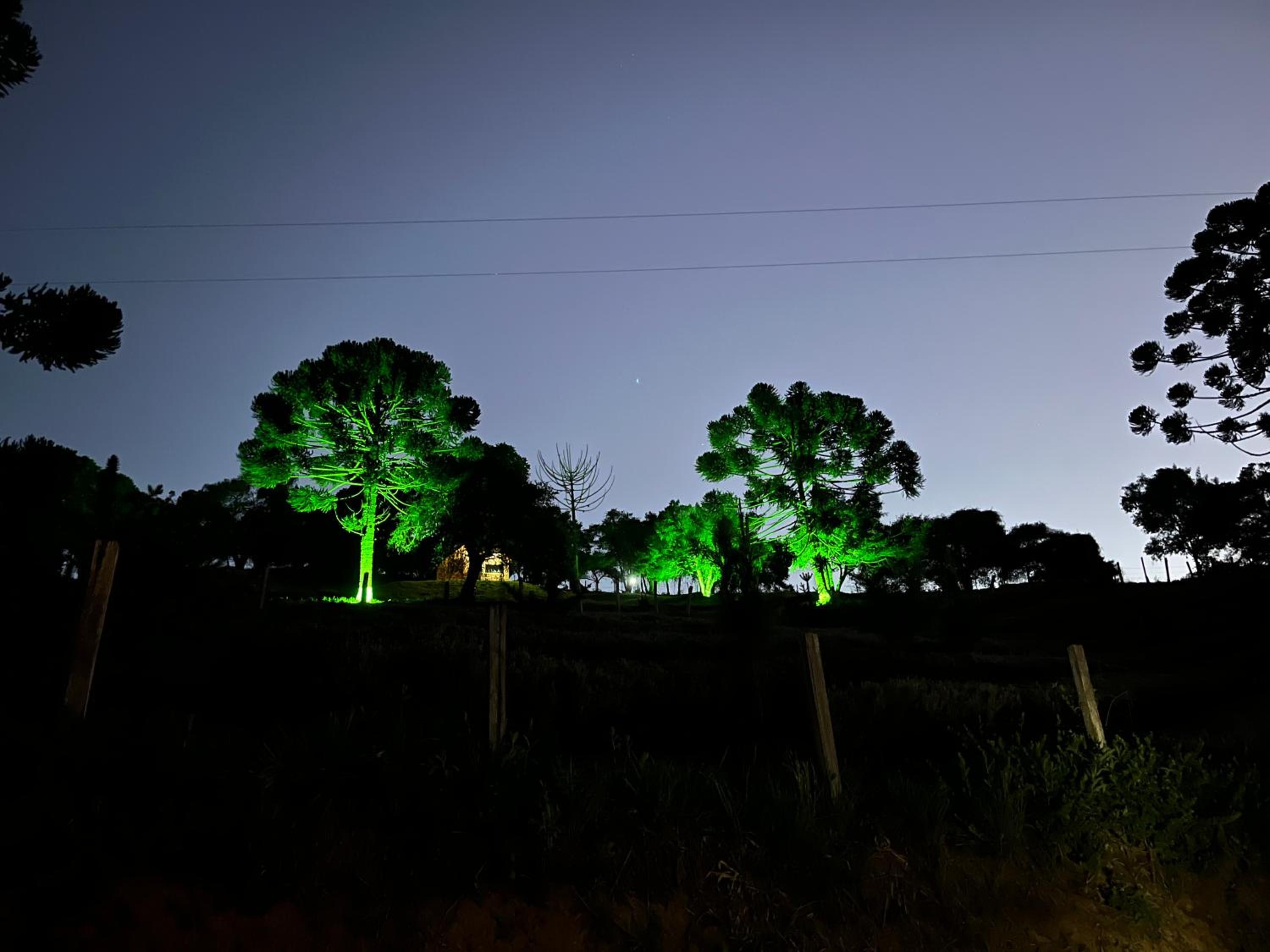 Chalés Pinheiros da Mantiqueira