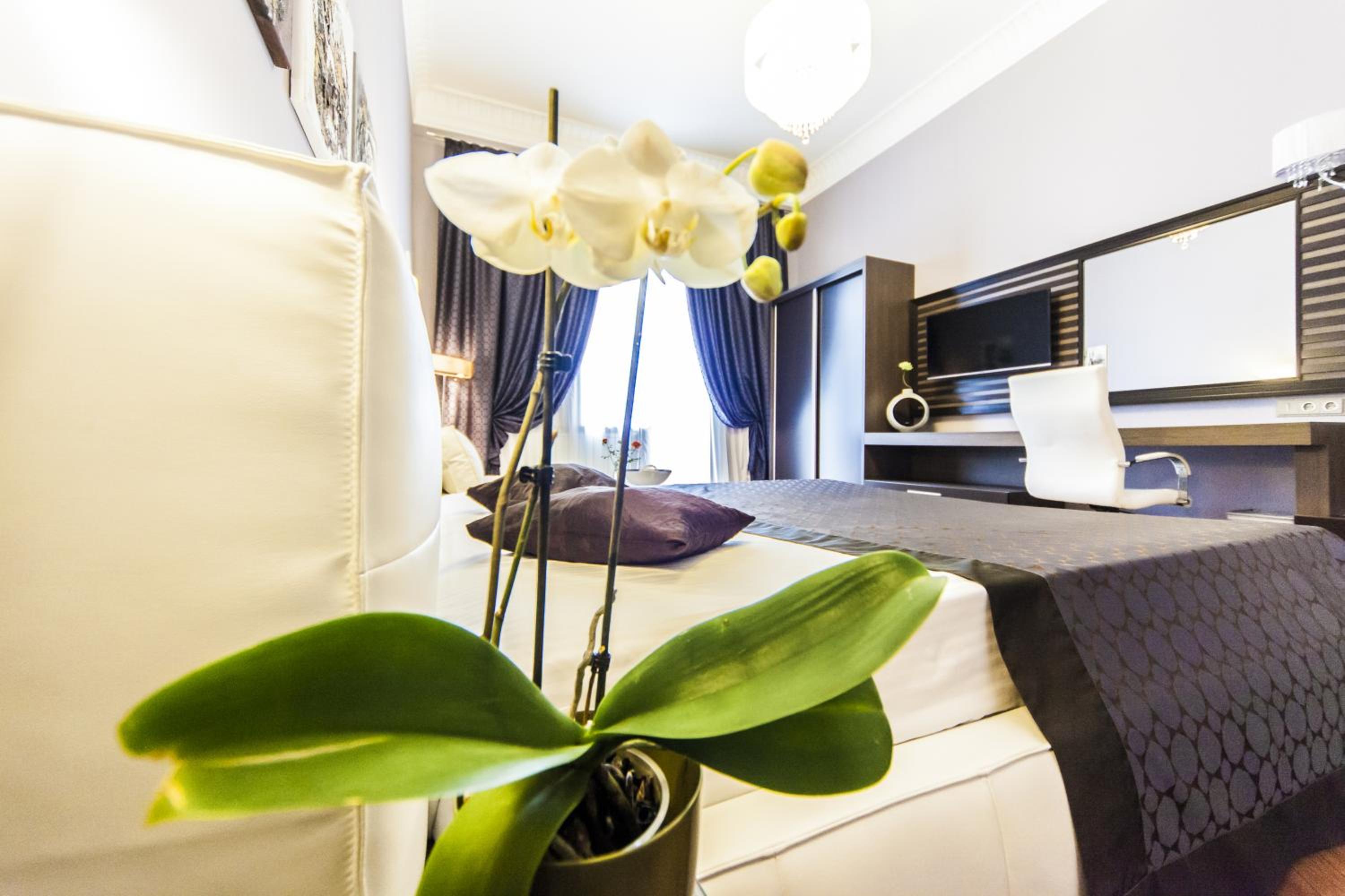 Matei Corvin Deluxe Apartment