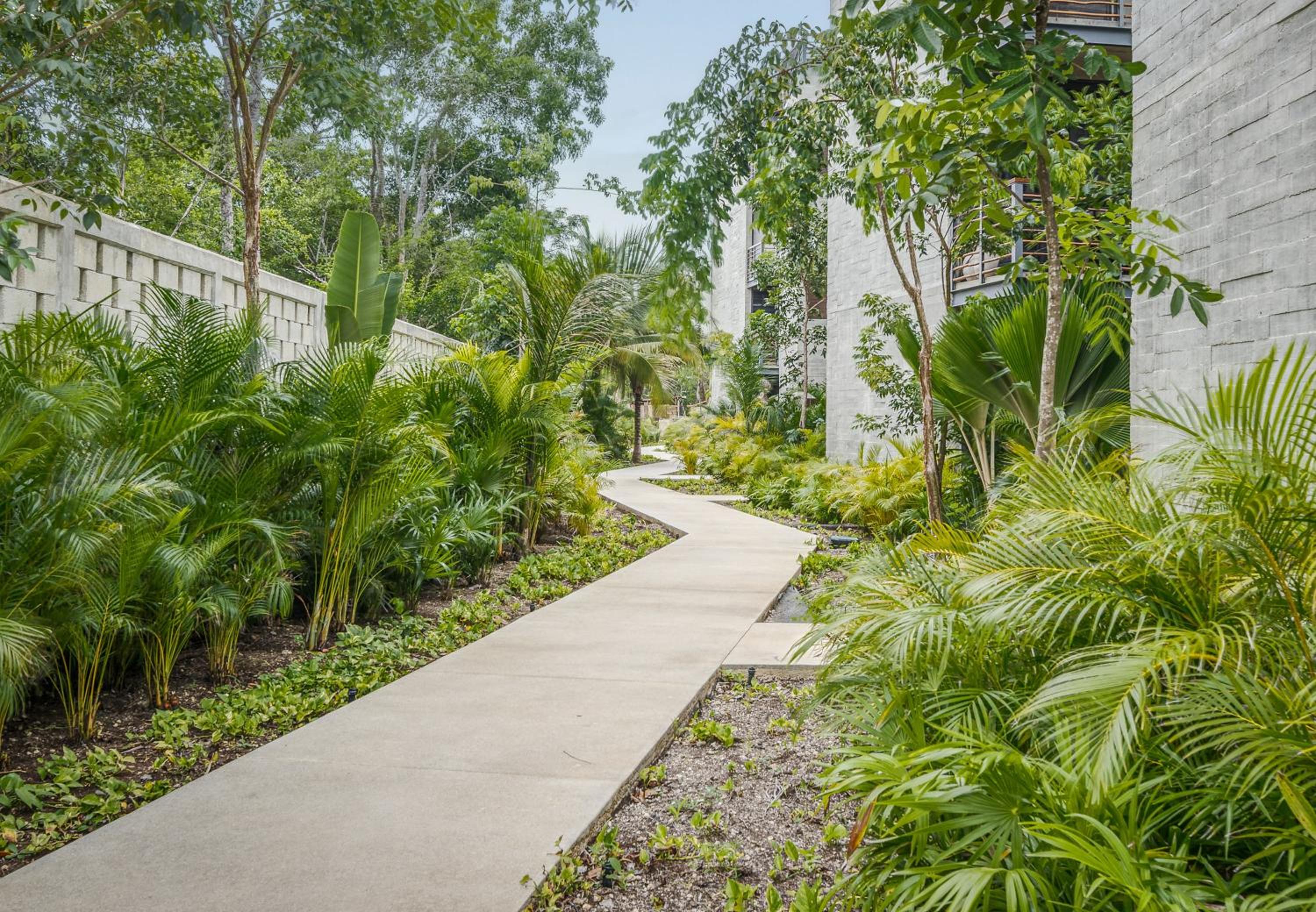 Photo 37