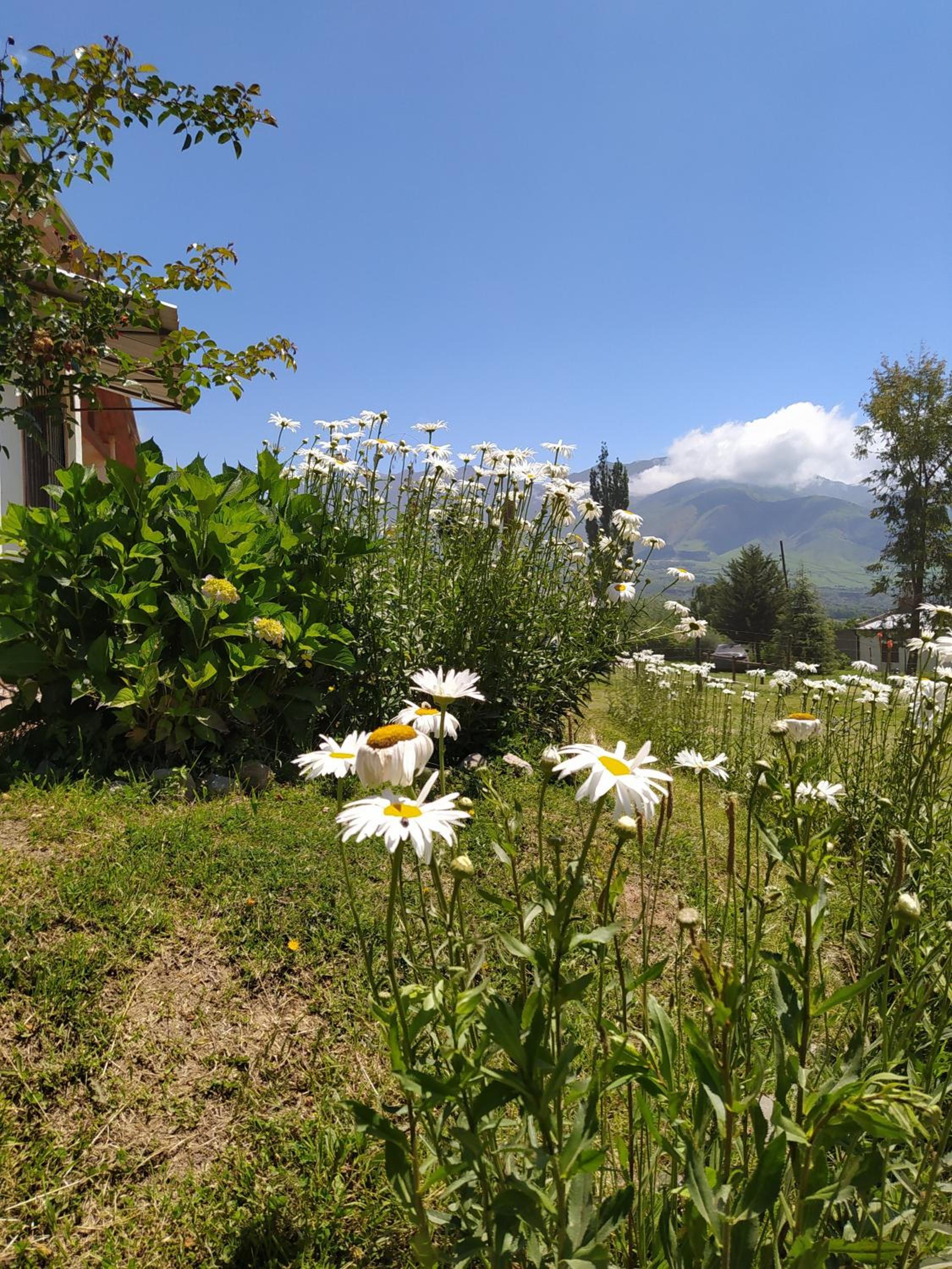 Casas de Altura 1
