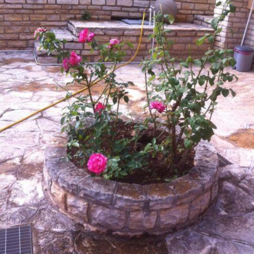 Photo 59