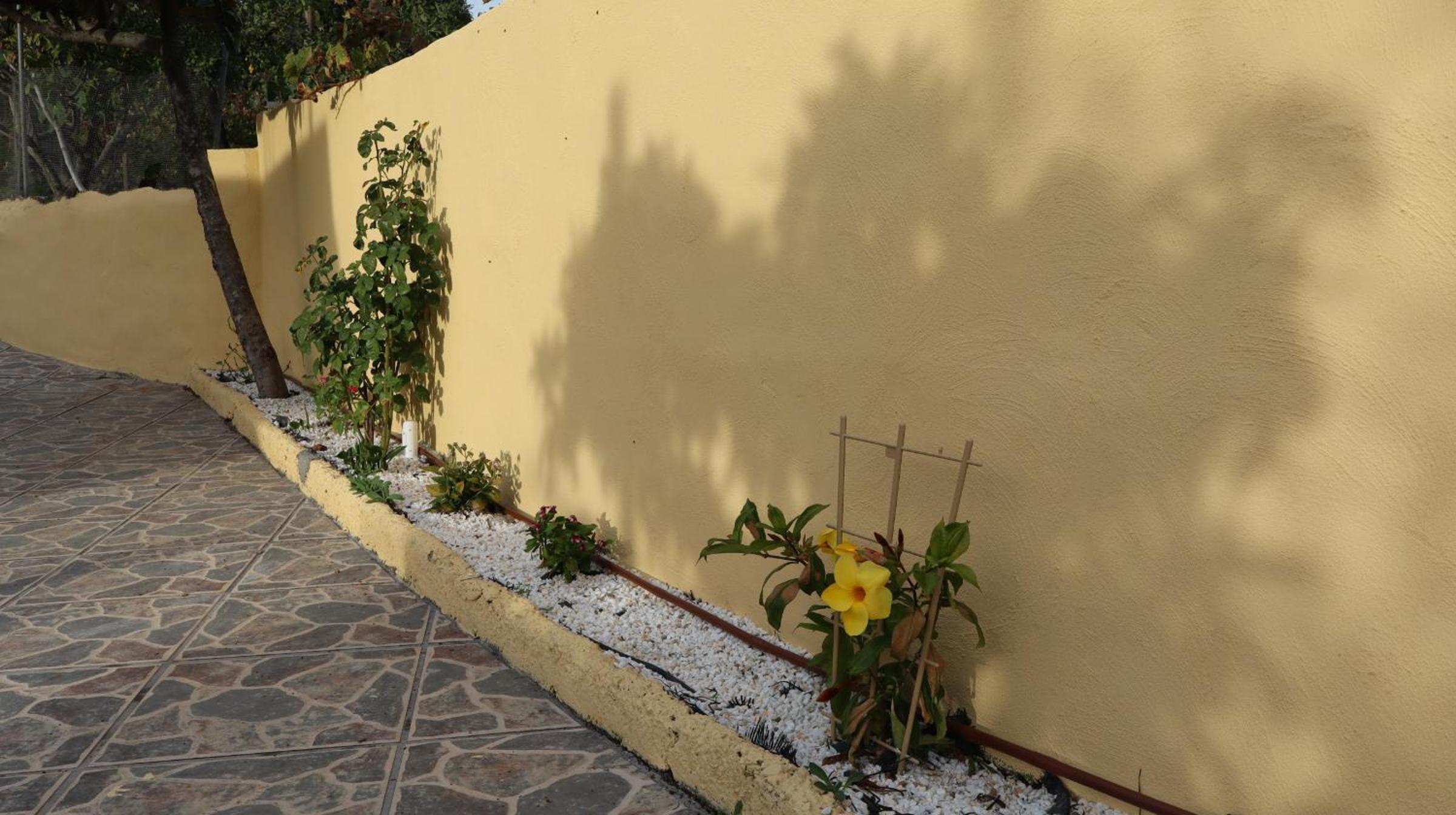 Photo 47