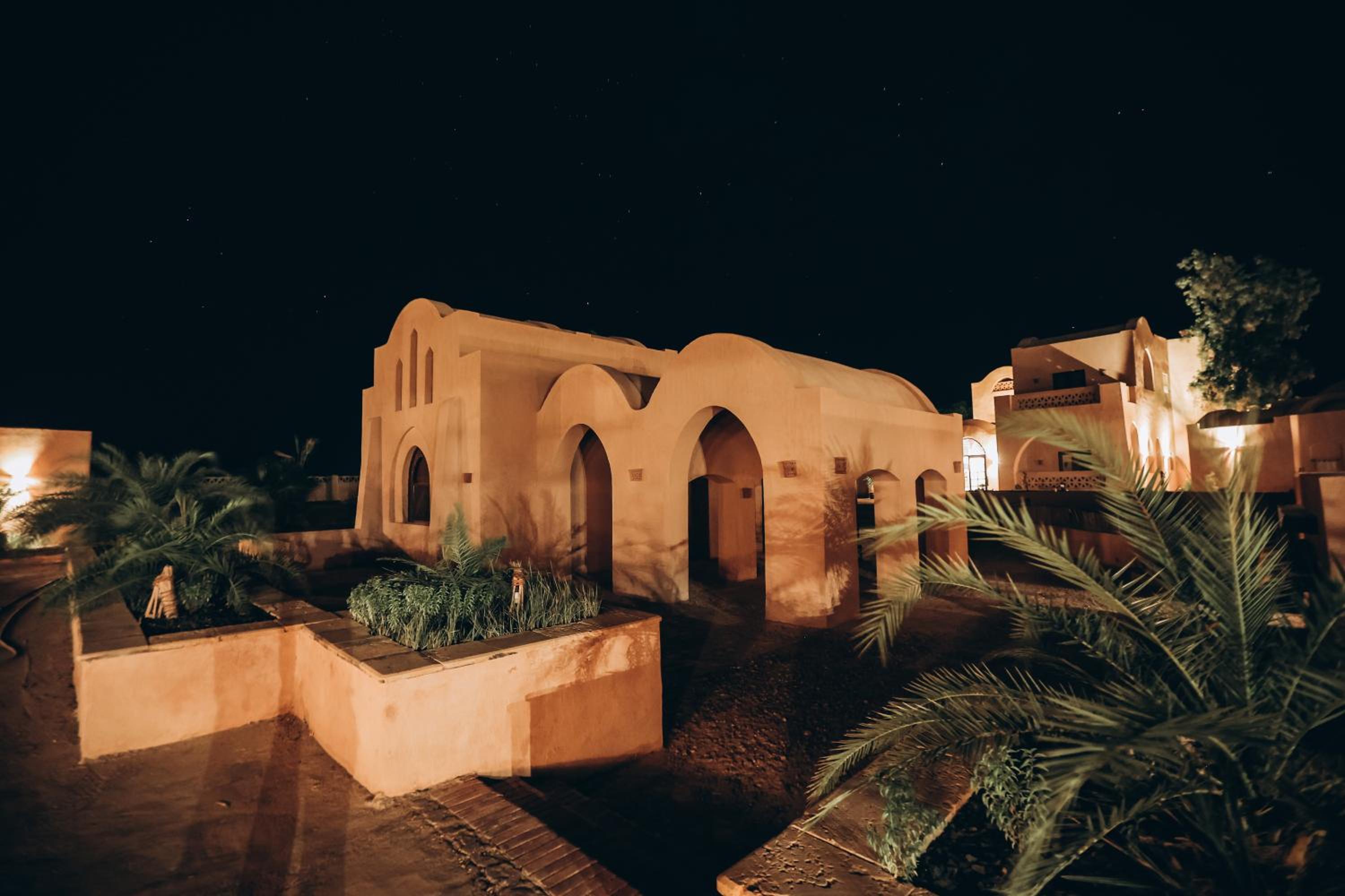 Tzila Bahariya