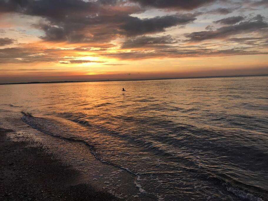 Stilvolles Reetdachhaus Coastline an der Ostsee