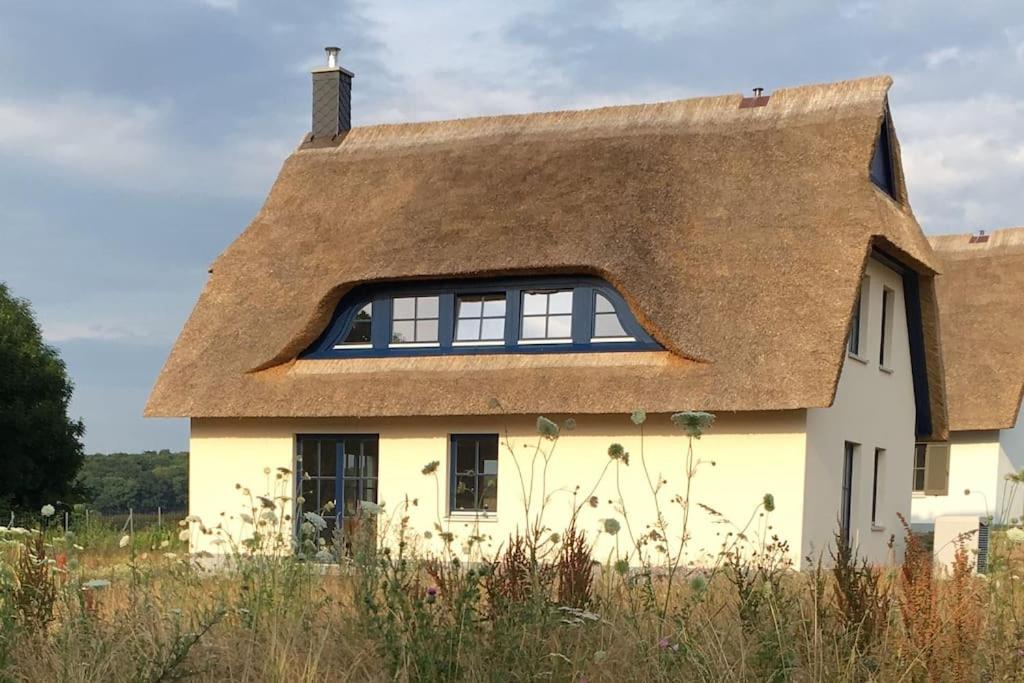 Stilvolles Reetdachhaus Coastline an der Ostsee