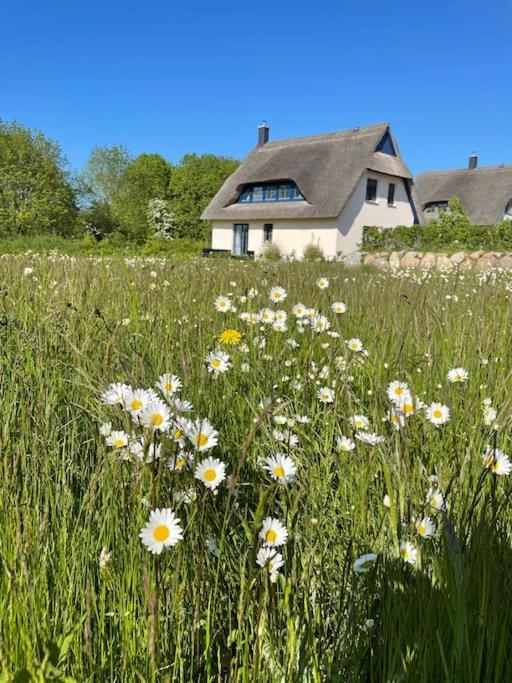Stilvolles Reetdachhaus Coastline an der Ostsee