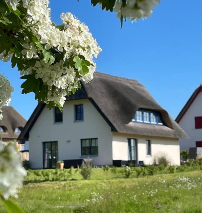 Stilvolles Reetdachhaus Coastline an der Ostsee