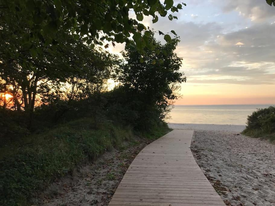 Stilvolles Reetdachhaus Coastline an der Ostsee