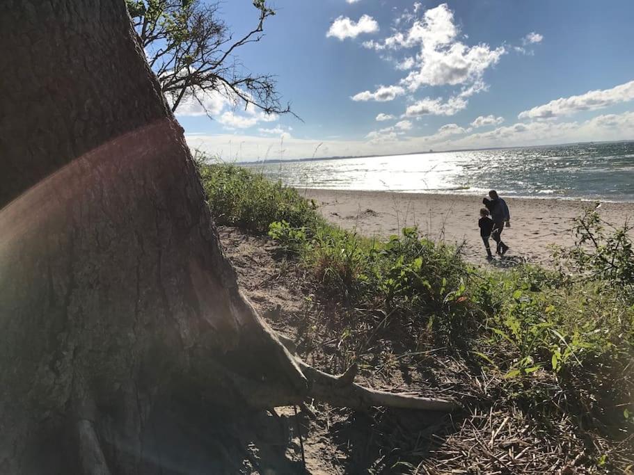 Stilvolles Reetdachhaus Coastline an der Ostsee