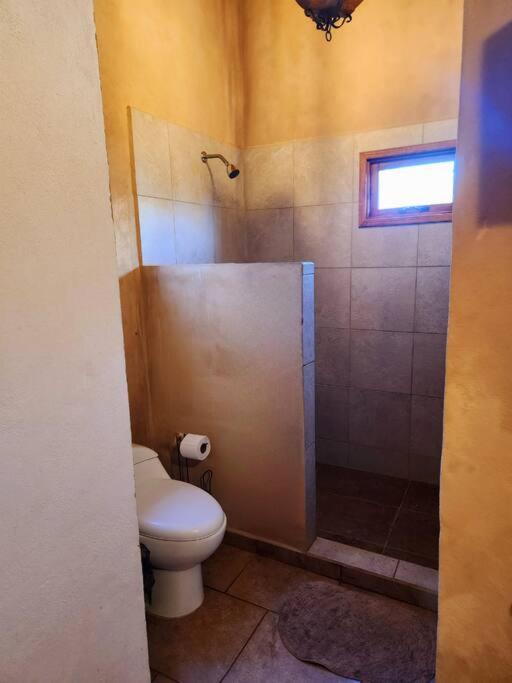 Photo 43
