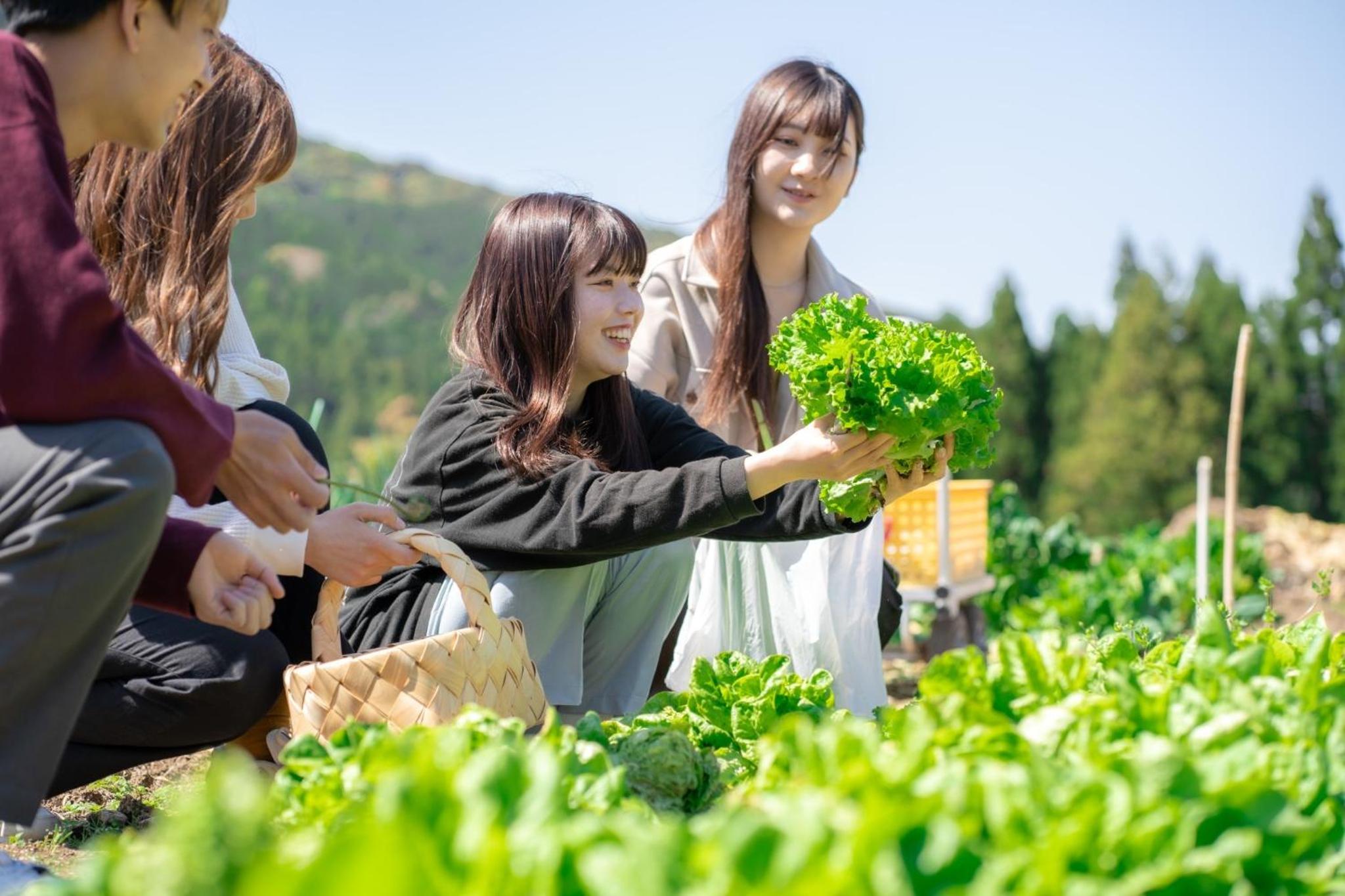 Bunkou Stay Haruhi - Vacation STAY 50996v view 5