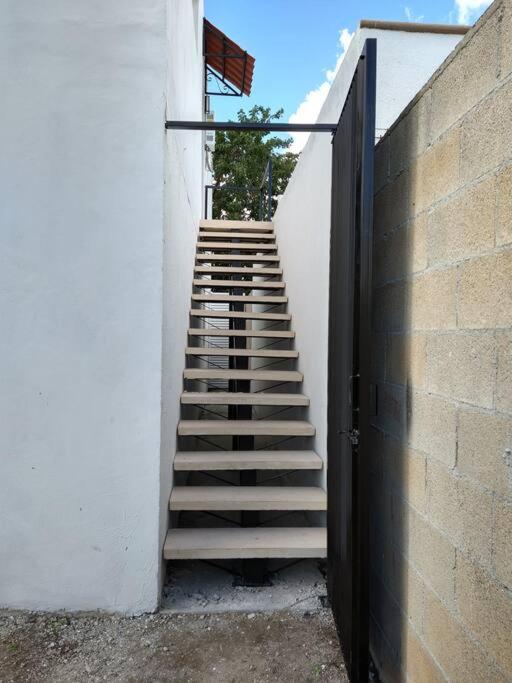 Photo 48