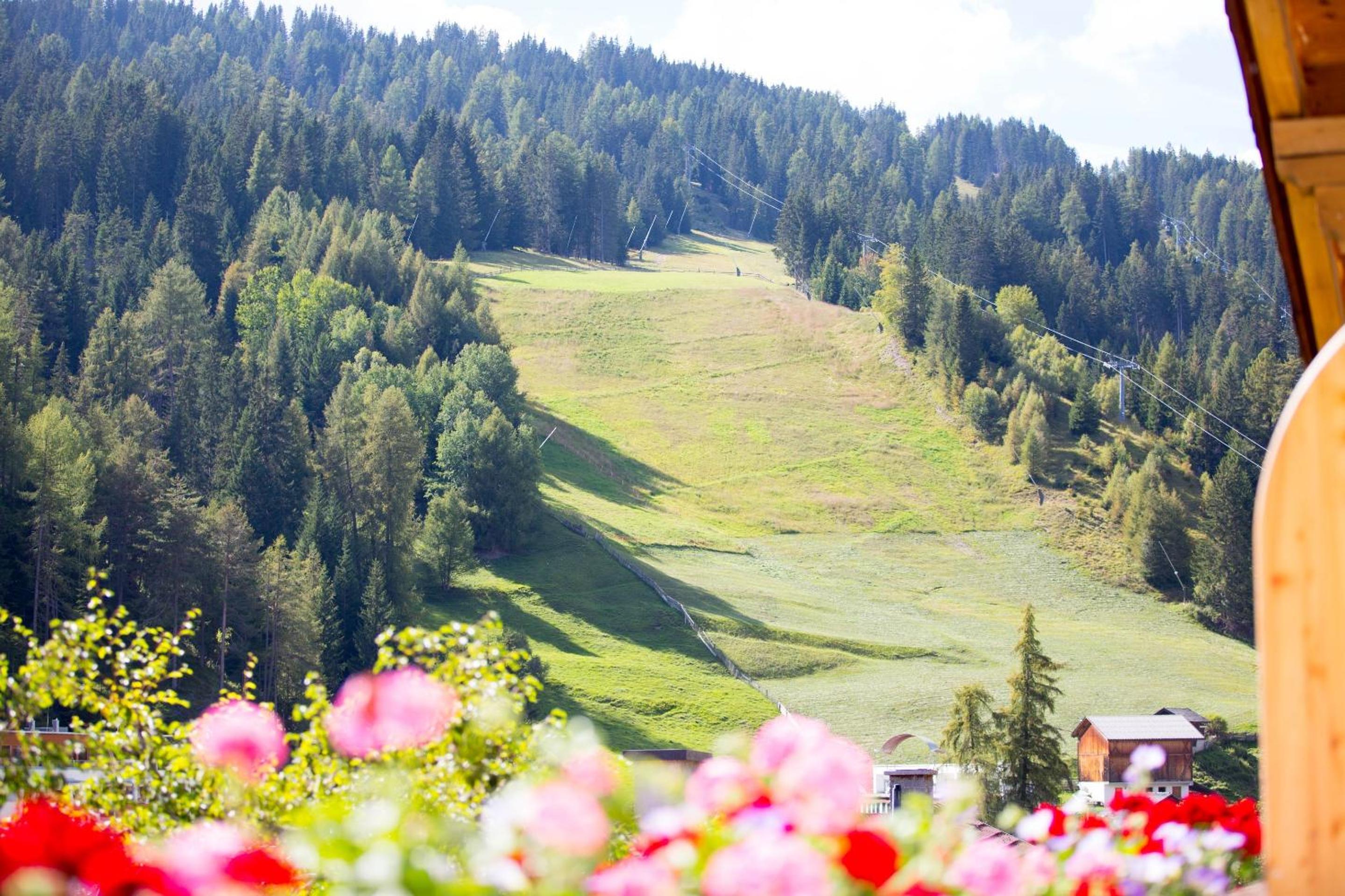 Pension Alpenrose