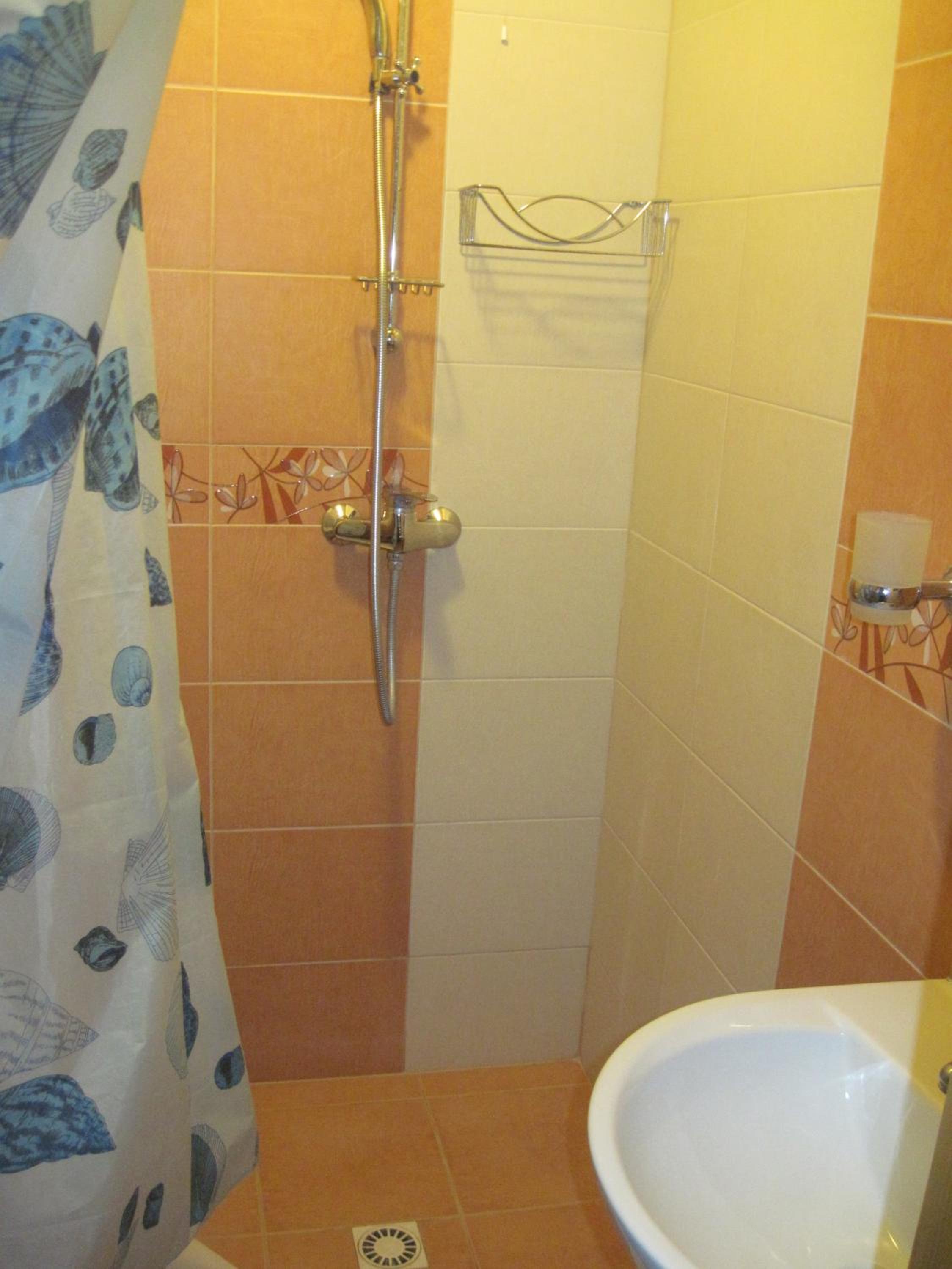 Photo 50