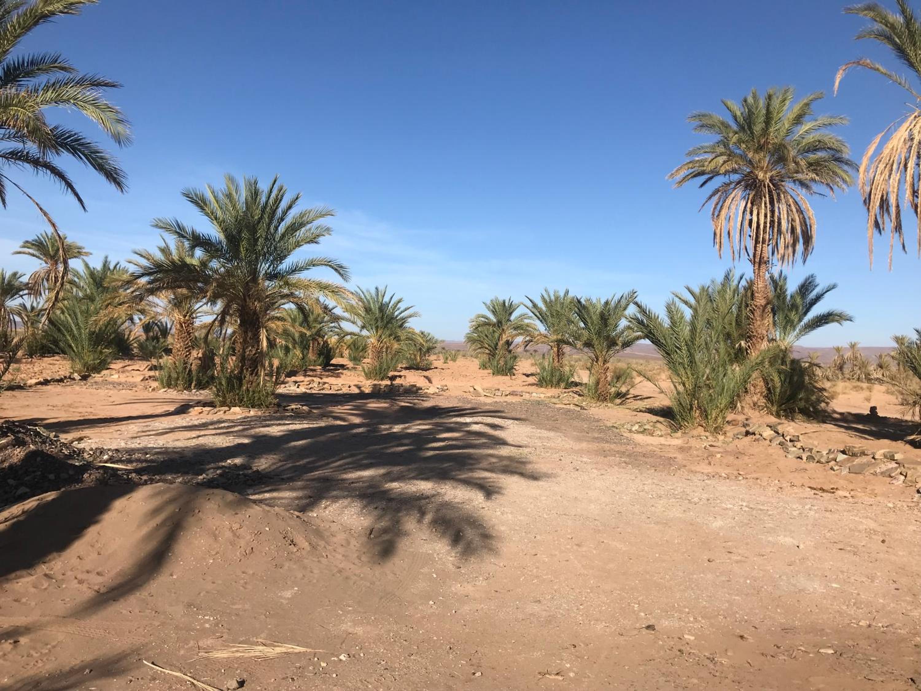 Kasbah Mashallah