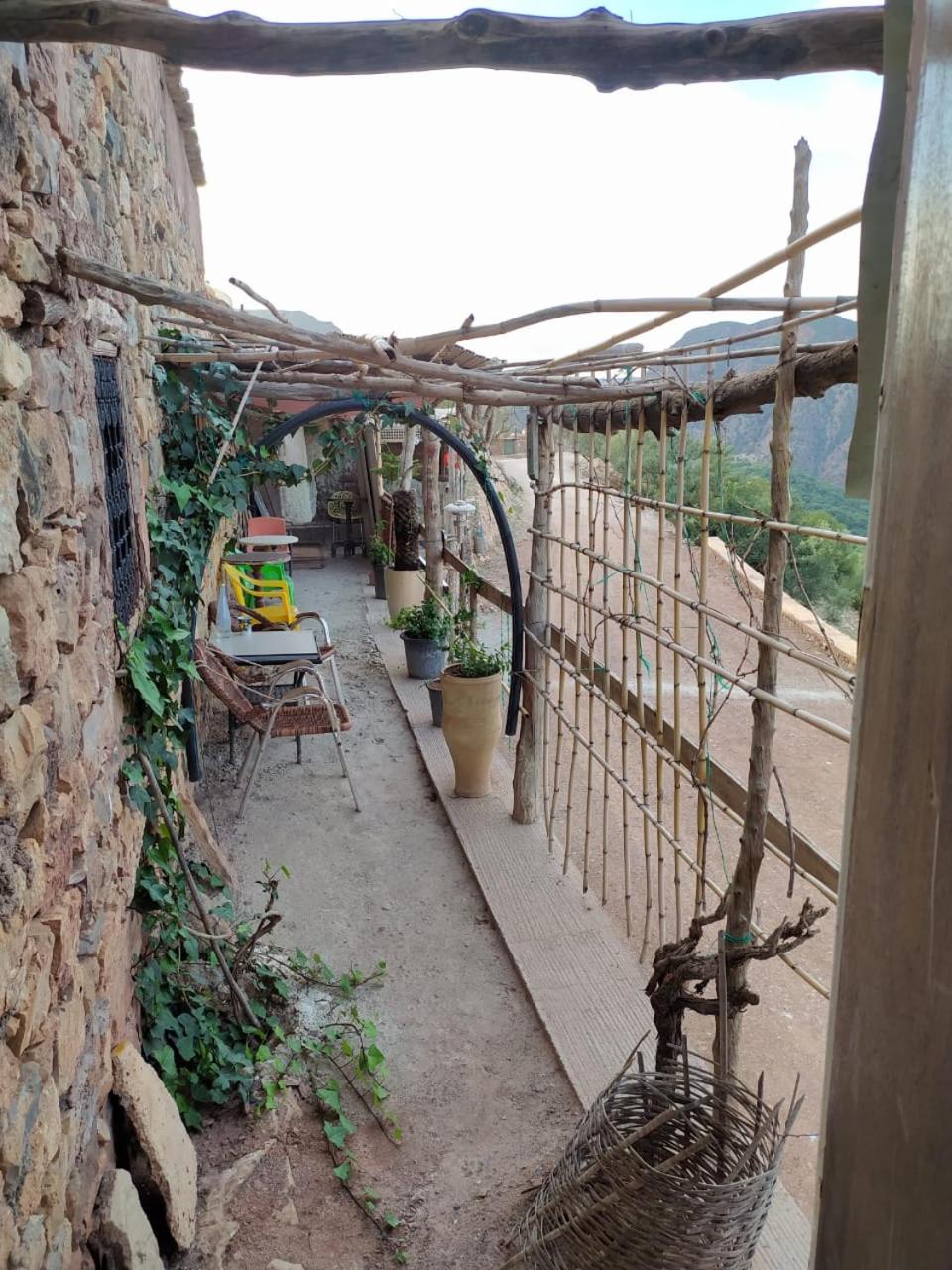 Café Autor Dan et Eger Nouvelle Restaurant