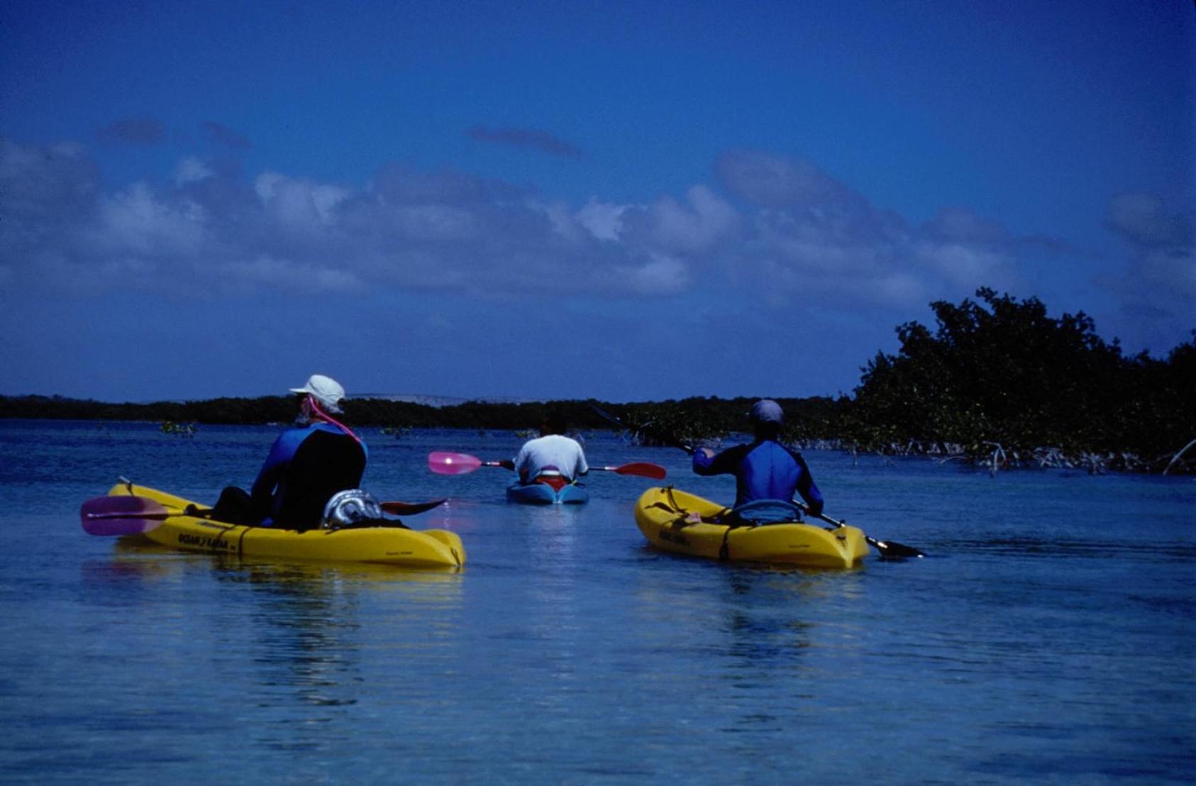 Villa Jewel - Viva Bonaire