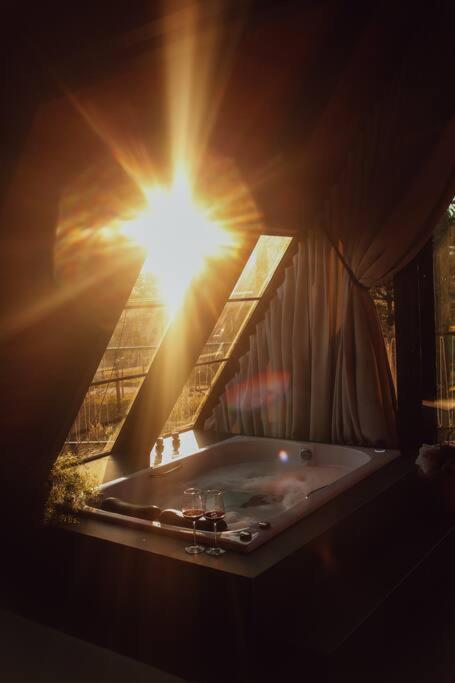 Cabana Lodge!