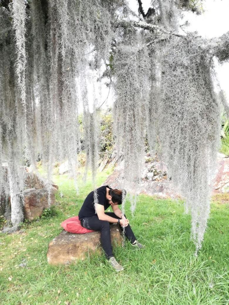 Finca la Riverita