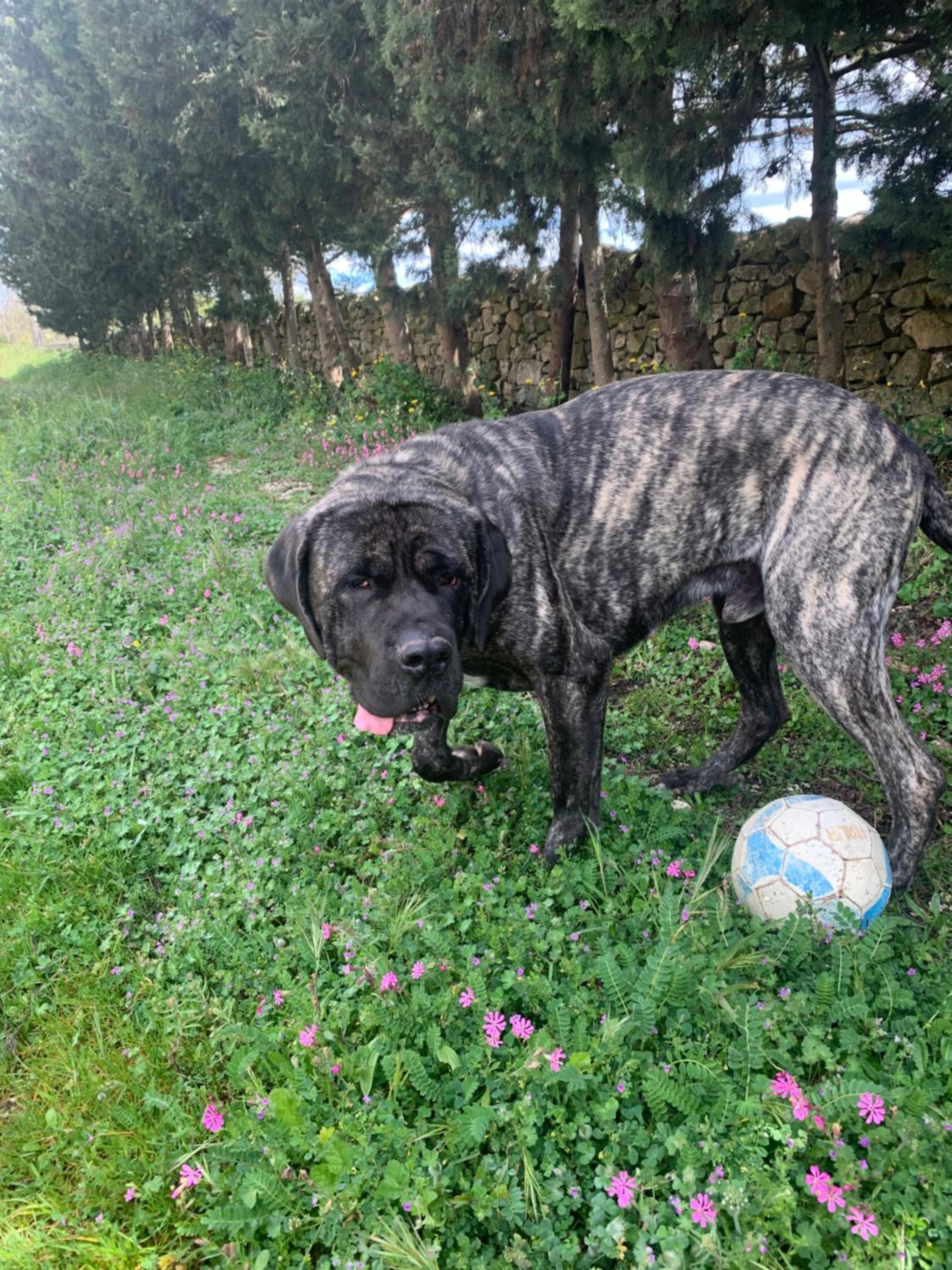 other