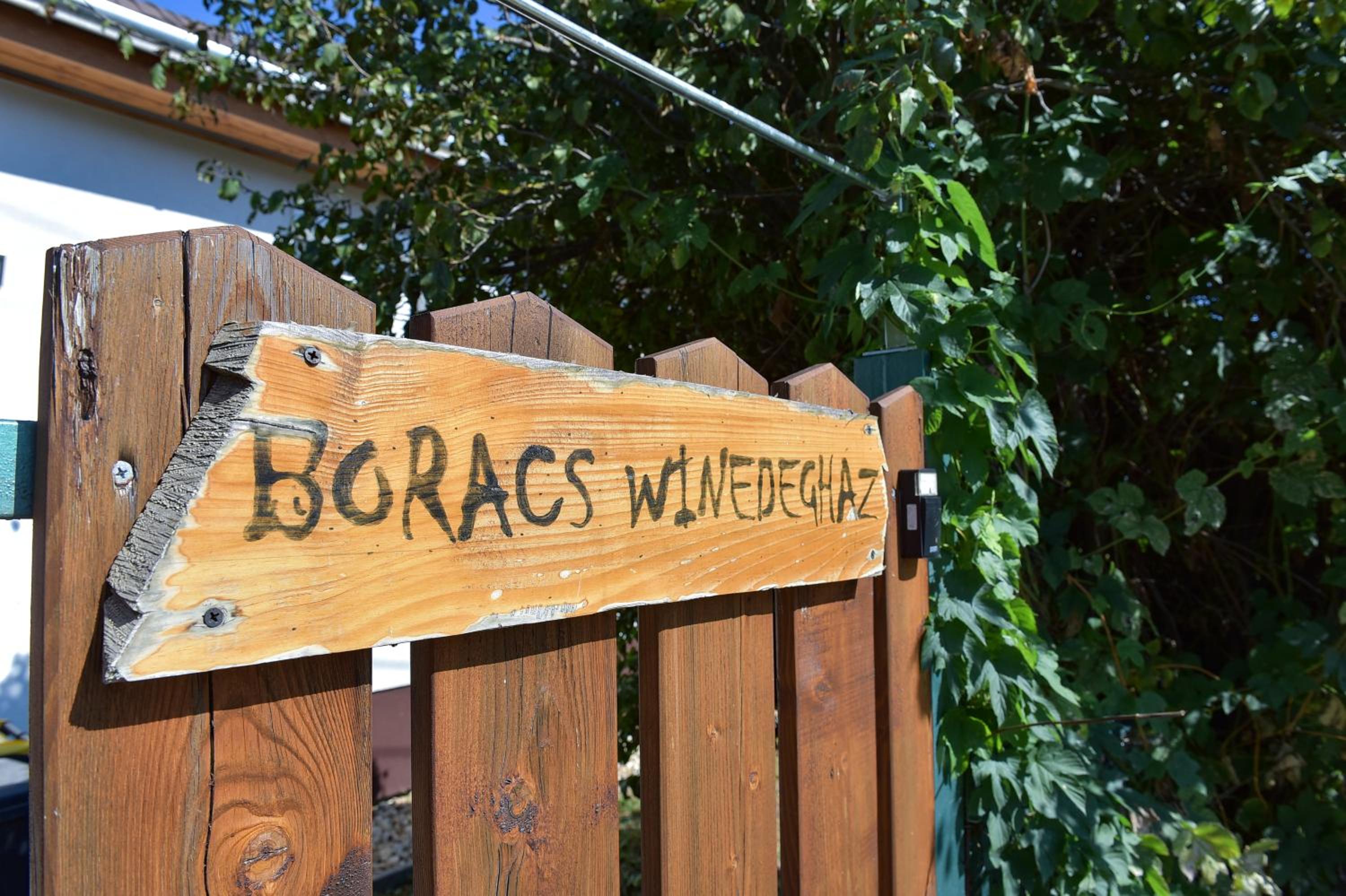 Borács Winedégház