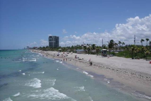 Photo 44