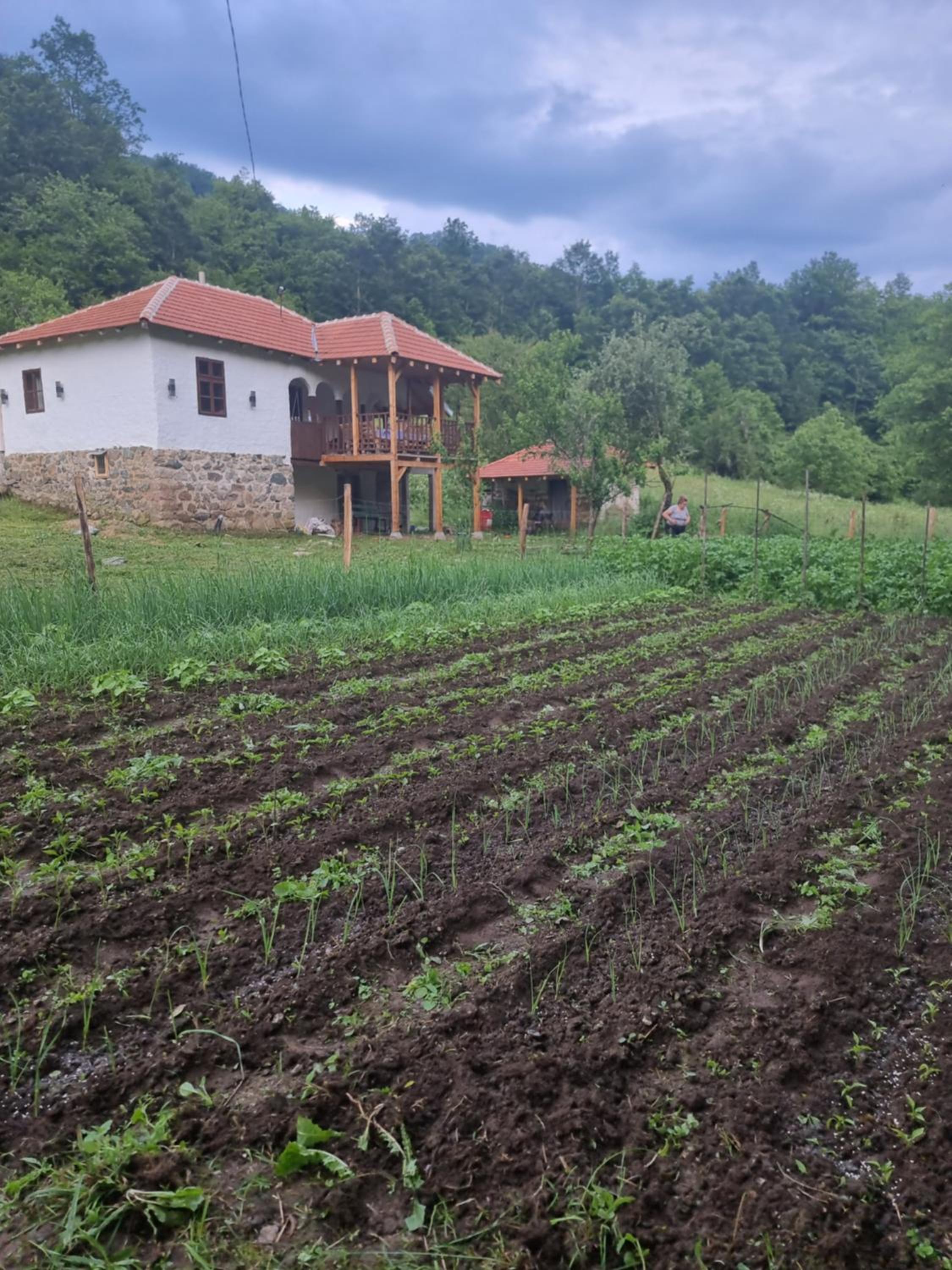 Apartmani kod Kmeta