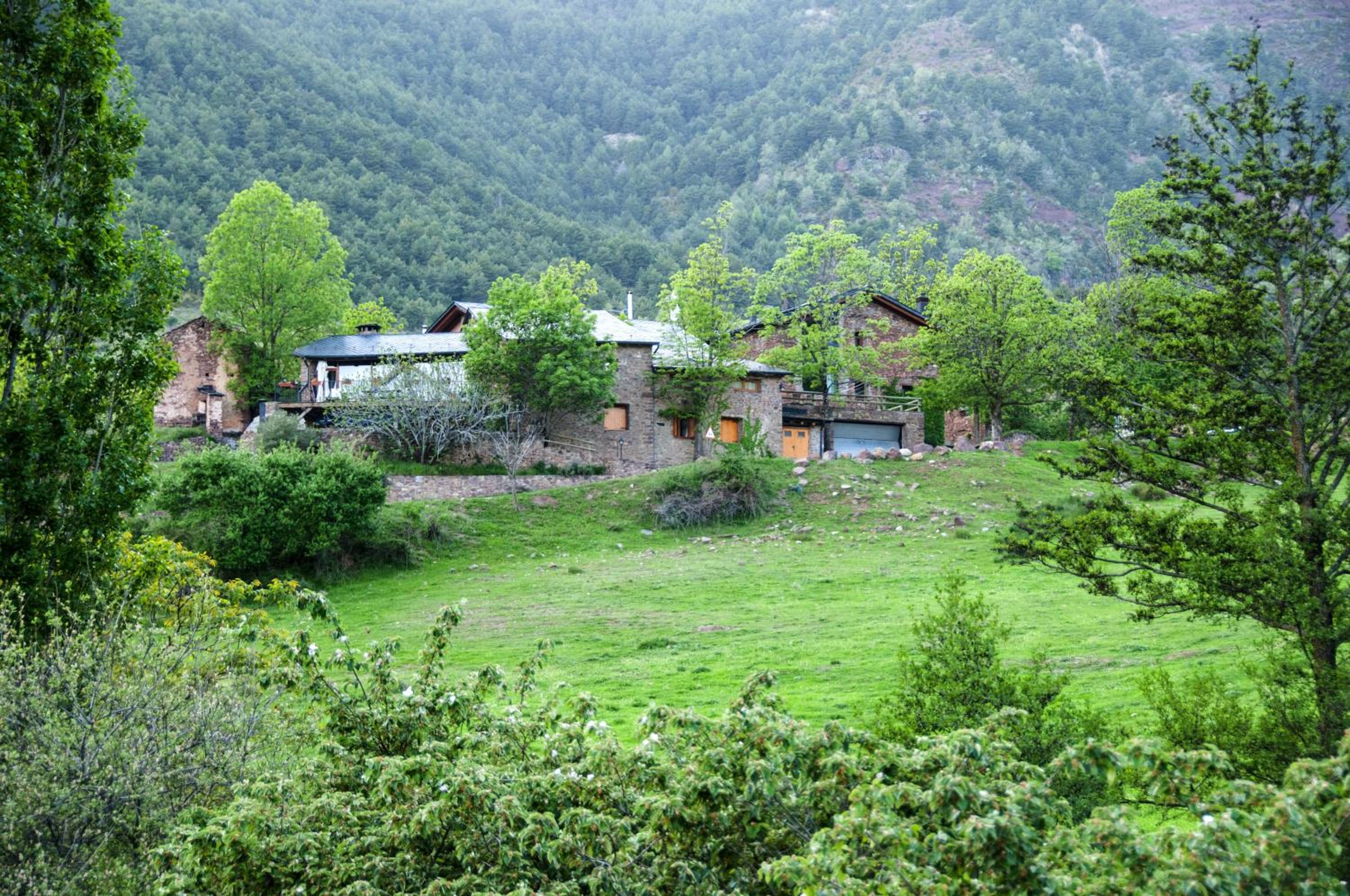 Photo 49