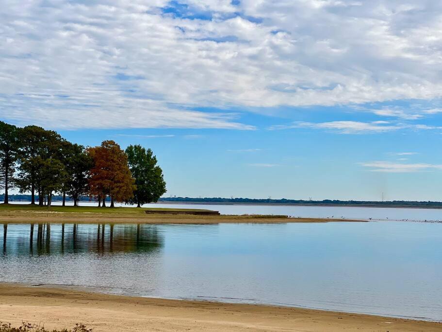 Scenic Cove, a lakehouse rental on Cedar Creek Lake view 5