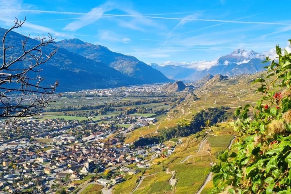 Vitis-Au Cœur du Vignoble Valaisan