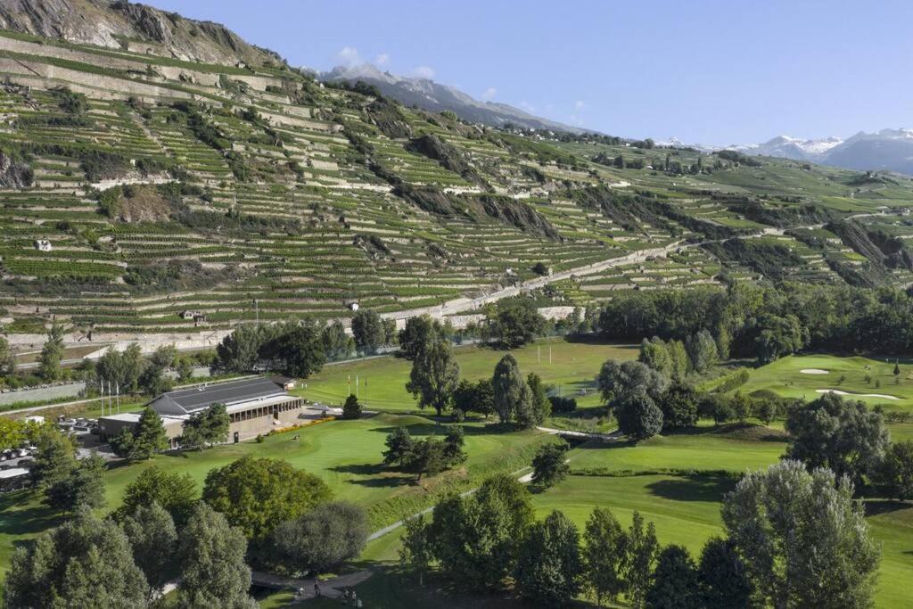 Vitis-Au Cœur du Vignoble Valaisan