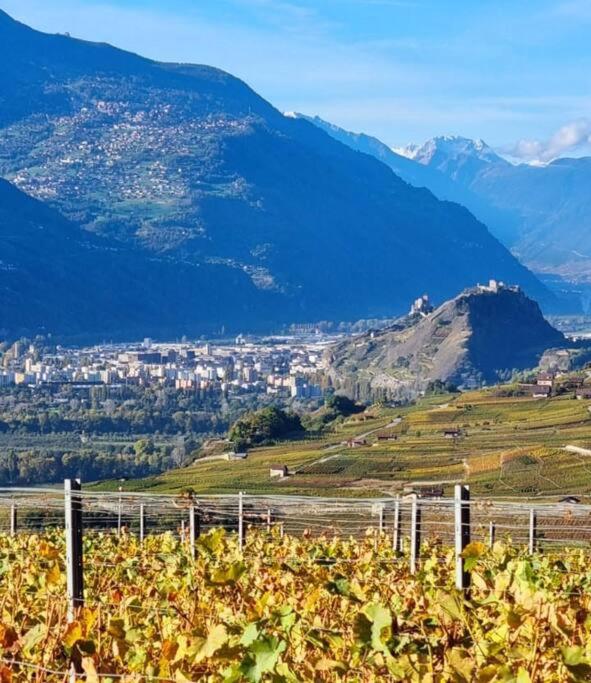 Vitis-Au Cœur du Vignoble Valaisan