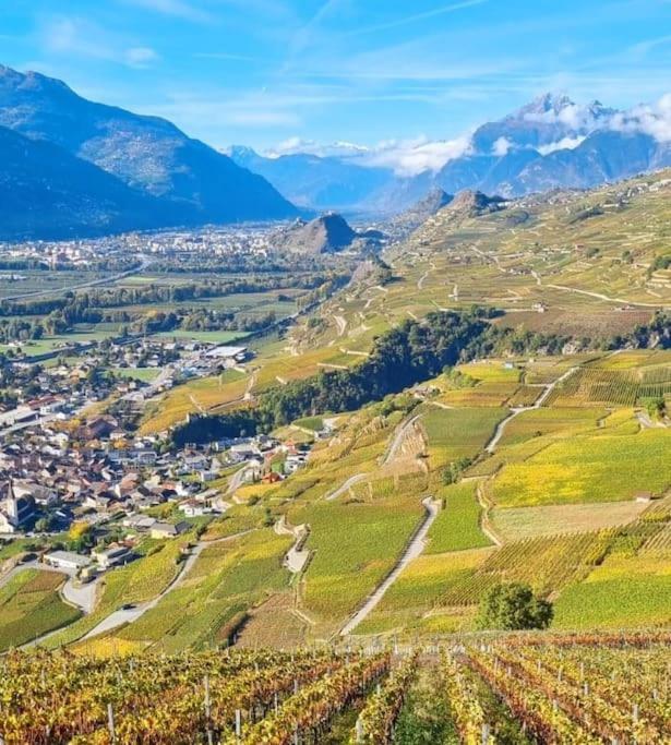 Vitis-Au Cœur du Vignoble Valaisan