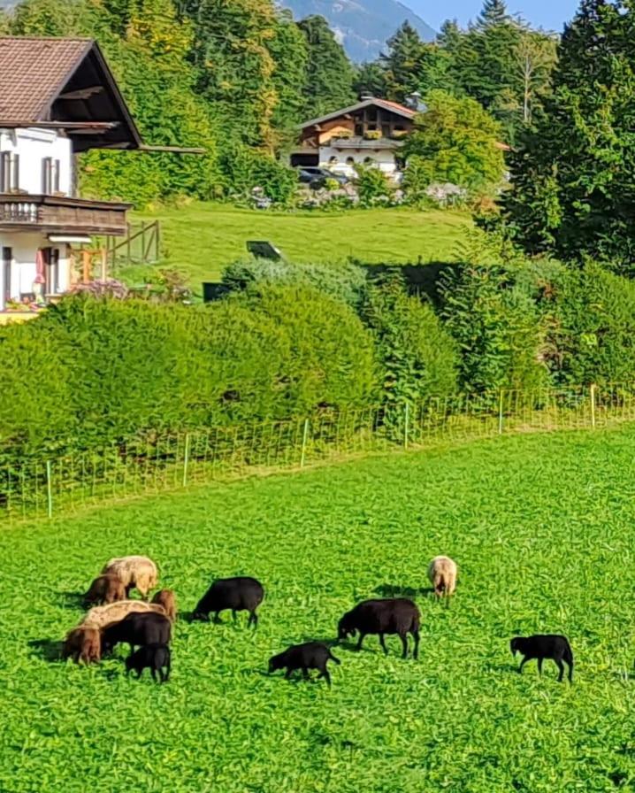 Bauernhaus Jocher view 4