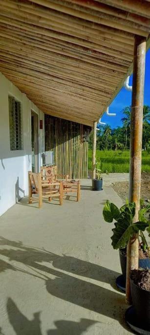 Bamboo Garden Tourist Inn view 5