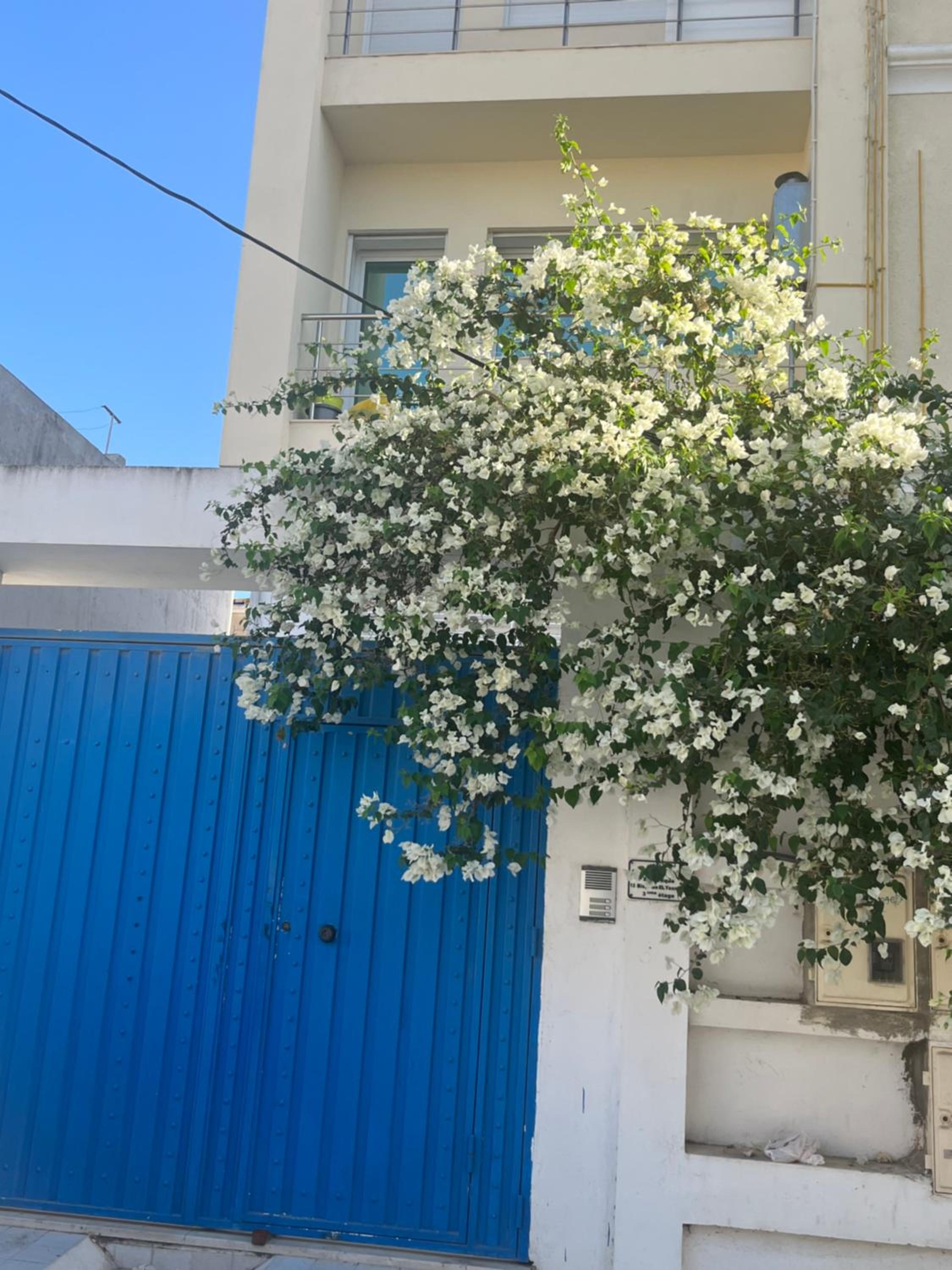 Sublime duplex au Bardo Tunis view 4