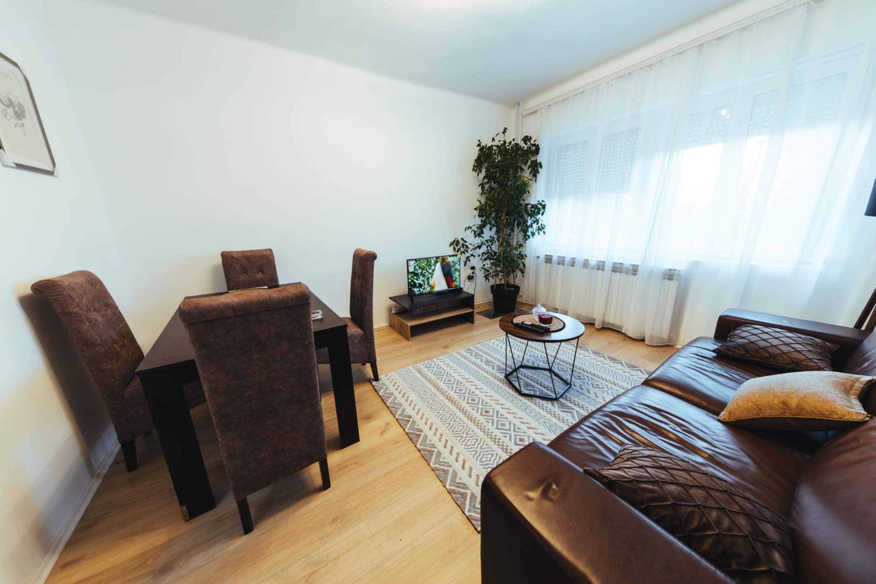 Sunny Apartment