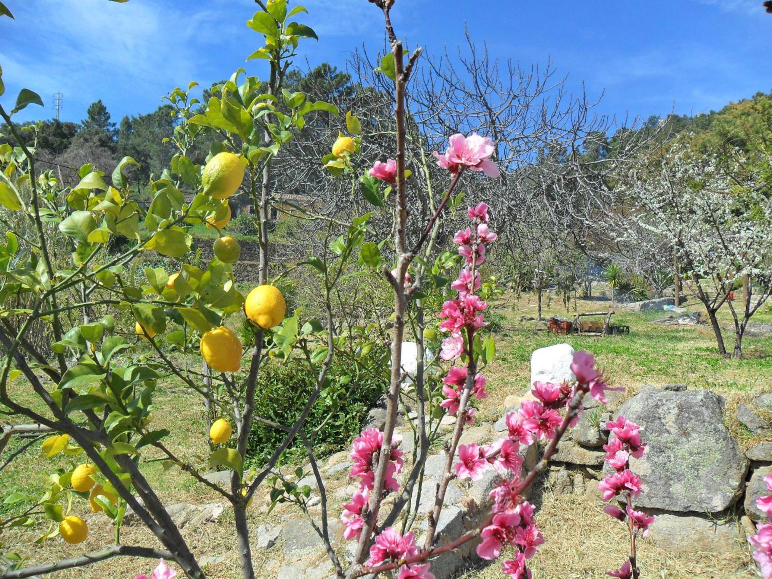 Quinta do Tempo Turismo Rural