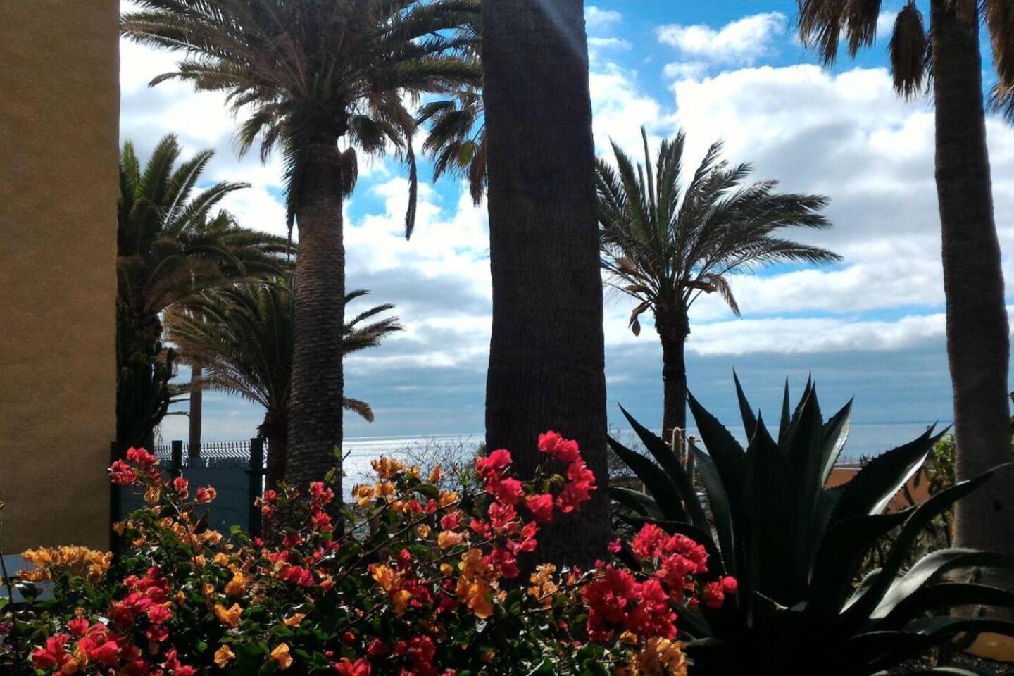 Sul mare Atlantico intero appartamento con piscina photo 3