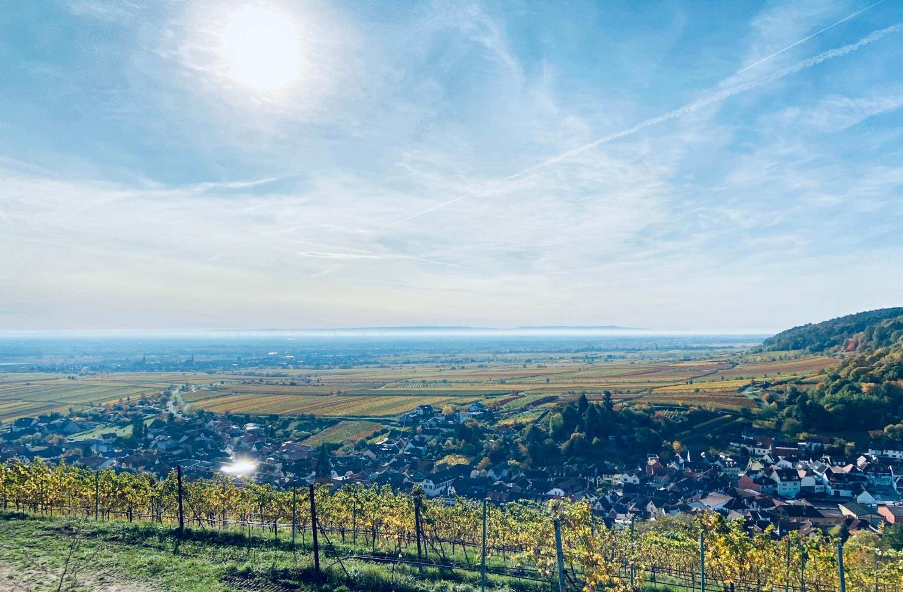 HALBSTÜCK - Ferienwohnungen am Kropsbachpark