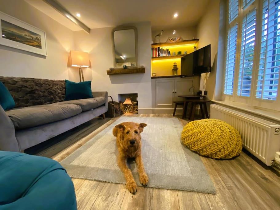 Beautiful Immaculate Aldeburgh cottage, free parking, sunny outdoor space, dog friendly - perfect for Spring seaside escapes view 5