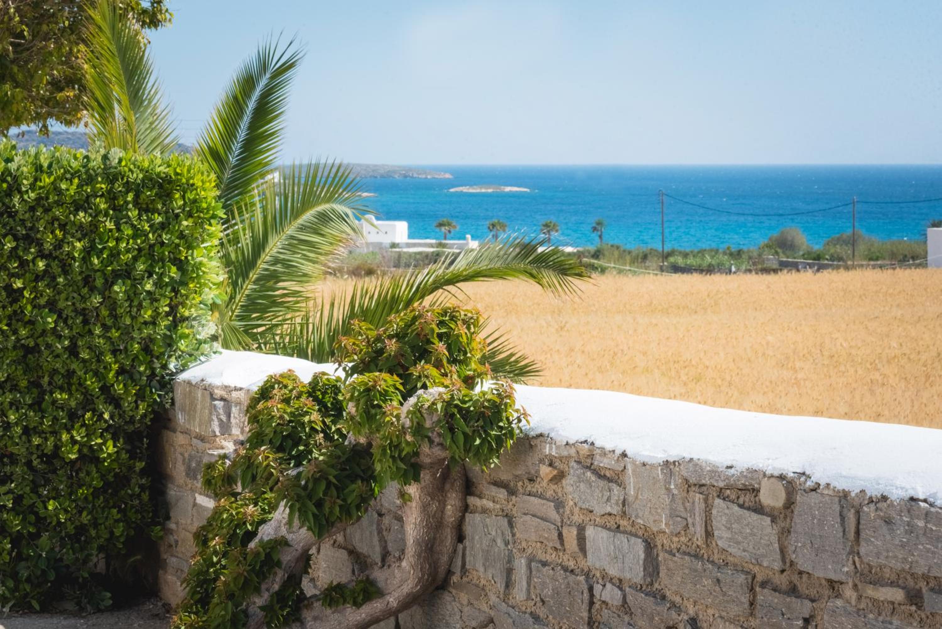 Navi A3 Brand new Studio in Naousa photo 2