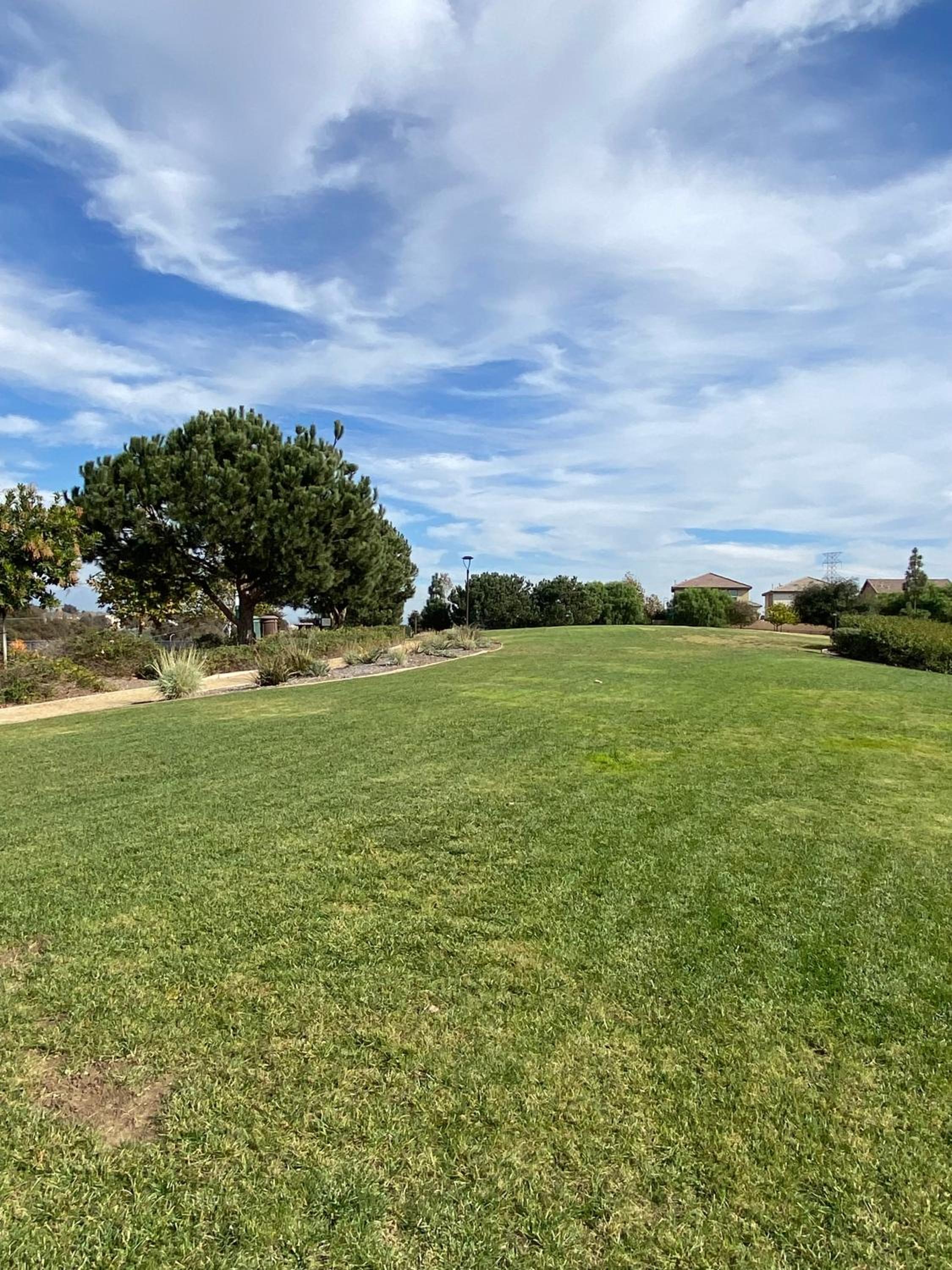 Olive Glen