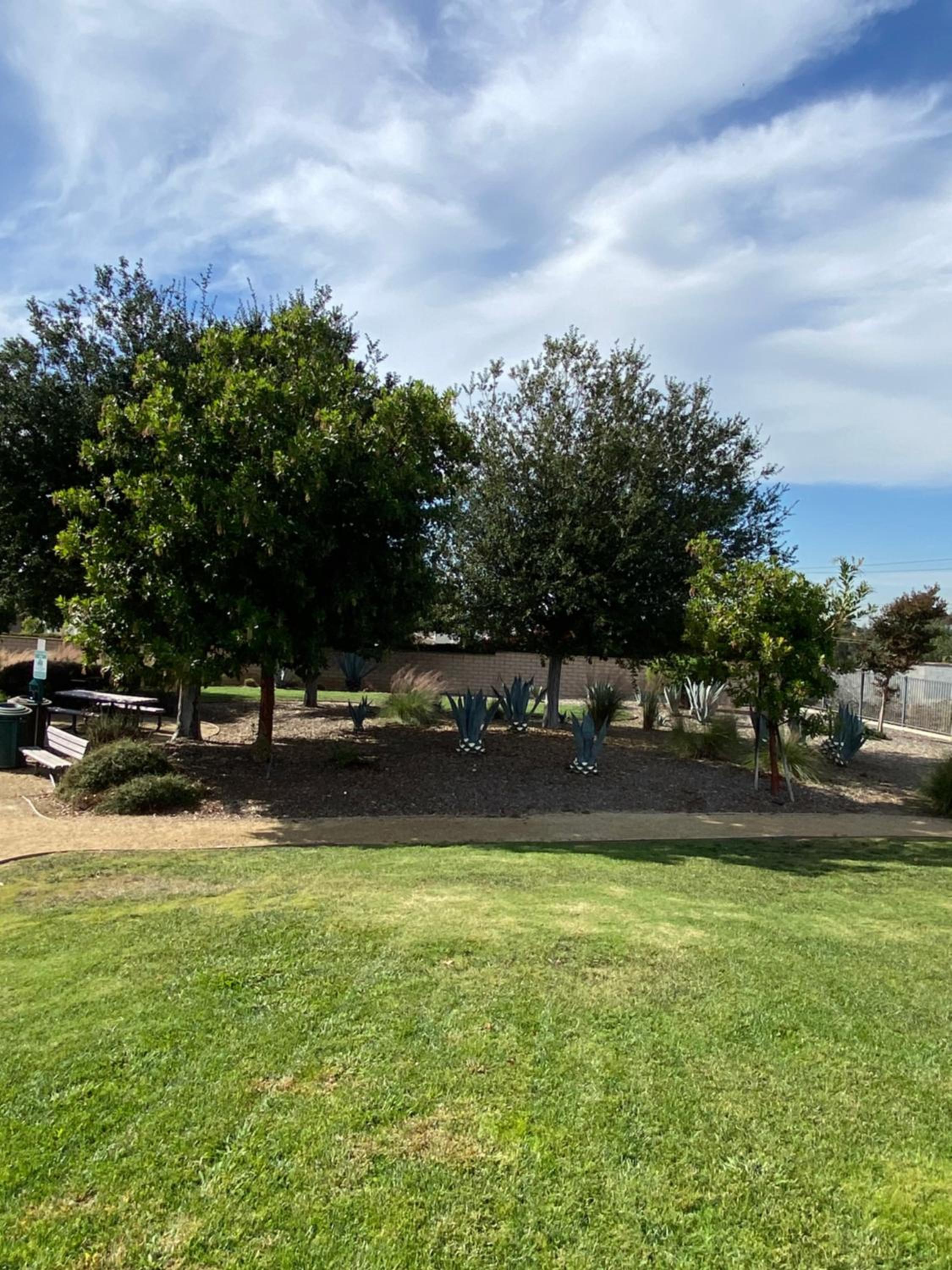 Olive Glen