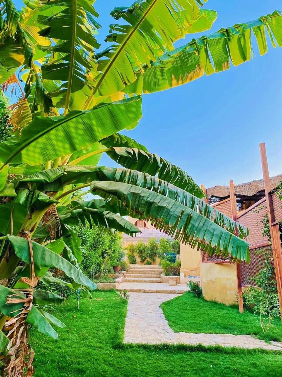 Khan tunis villa