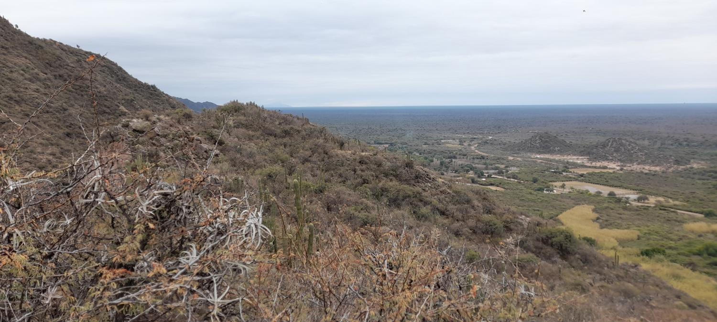 Amancay Cabaña alpina en Valle Fértil