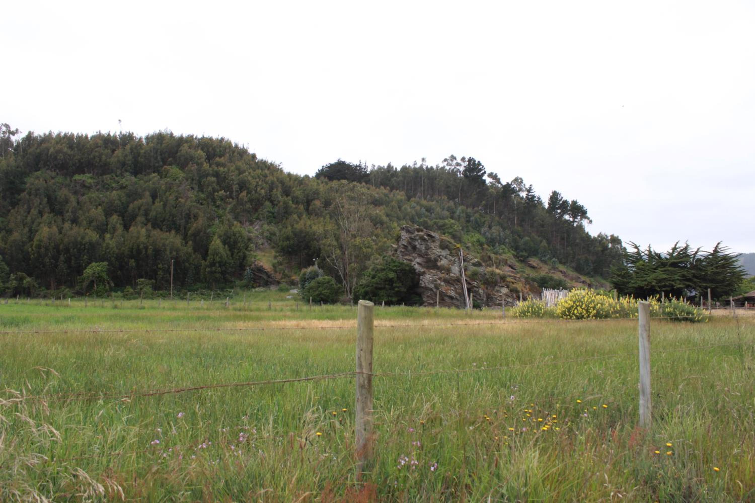 Acun Lihuen
