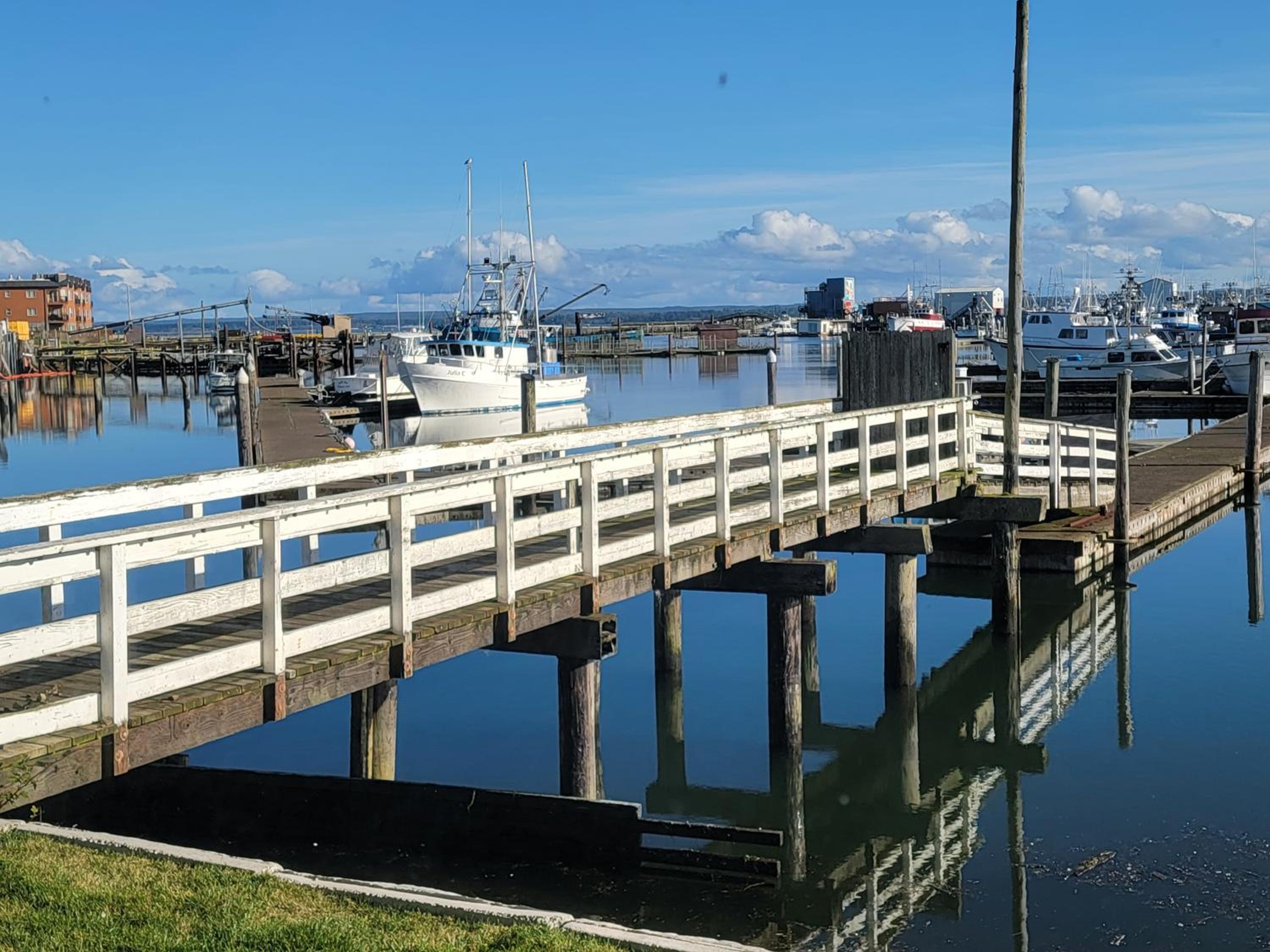 Photo 24