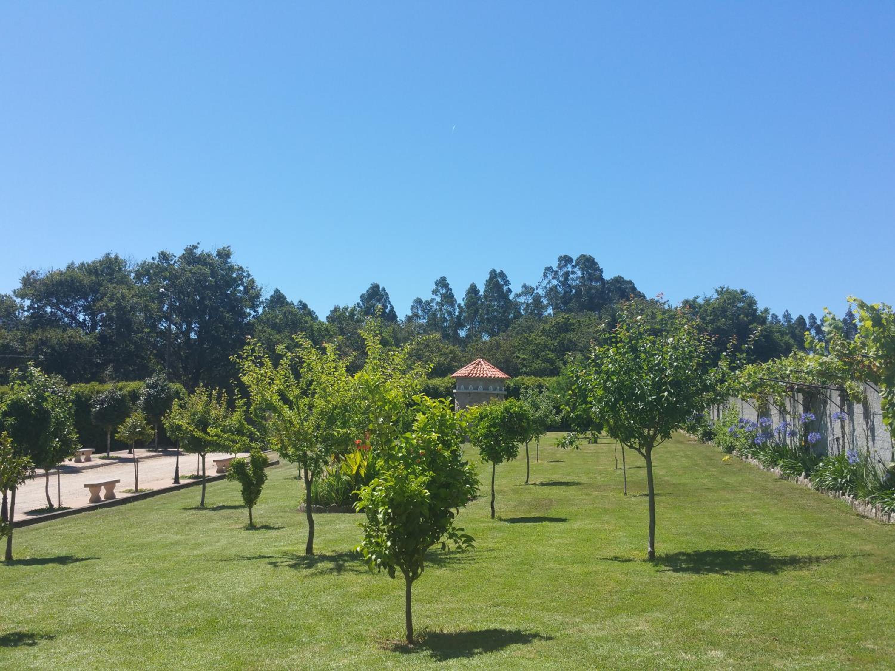 Bubela finca