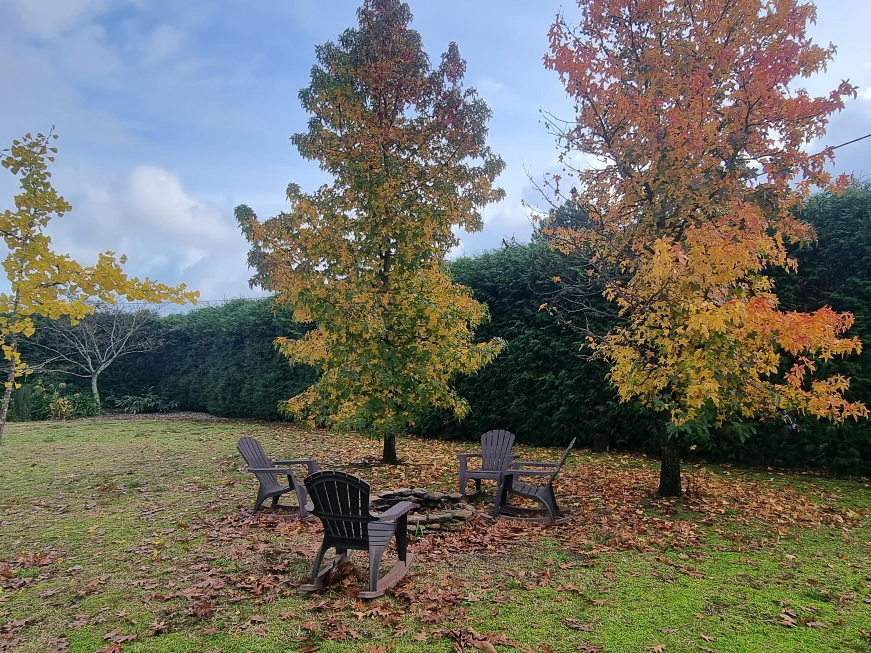 Bubela finca